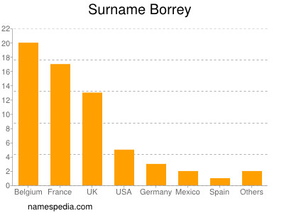 Surname Borrey