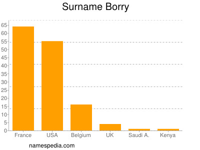 Surname Borry