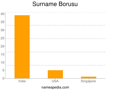 Familiennamen Borusu