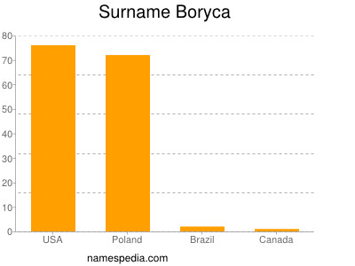 Surname Boryca