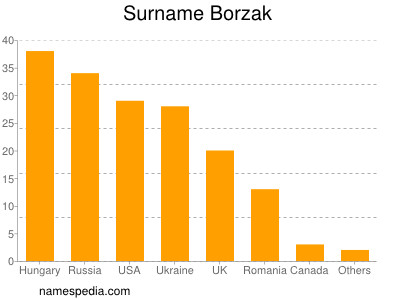 Surname Borzak