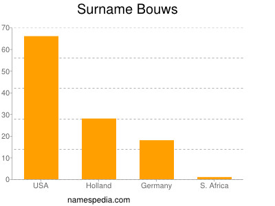 Surname Bouws