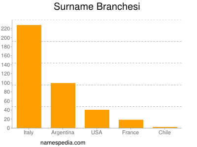 Surname Branchesi