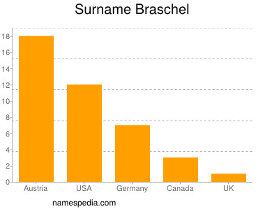Surname Braschel