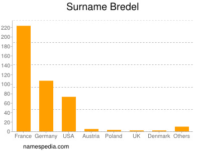 Surname Bredel