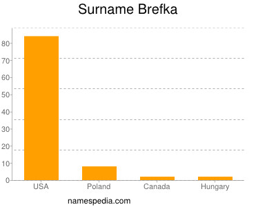 Surname Brefka