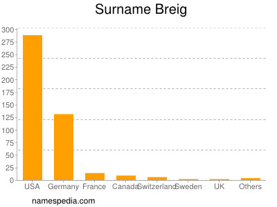 Surname Breig