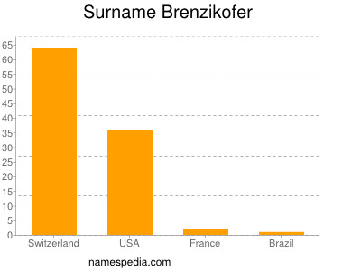 Surname Brenzikofer