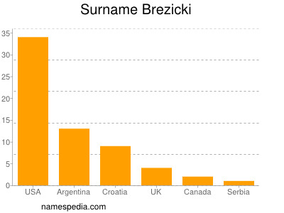Surname Brezicki