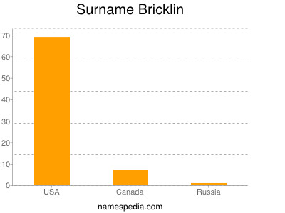 Surname Bricklin
