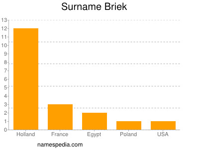 Surname Briek