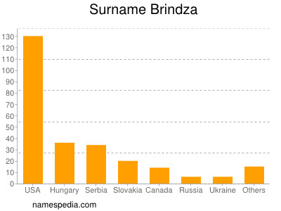 Surname Brindza