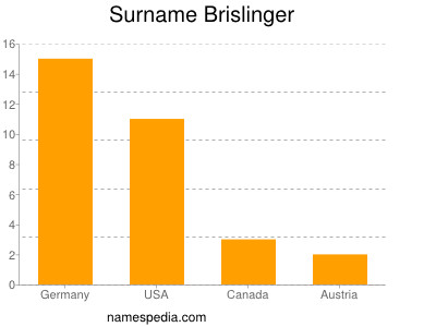 Surname Brislinger