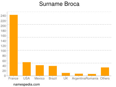 Surname Broca