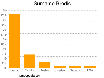 Surname Brodic
