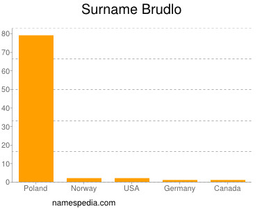 Surname Brudlo
