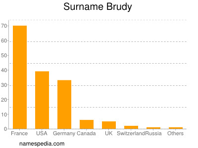 Surname Brudy