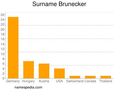 Surname Brunecker