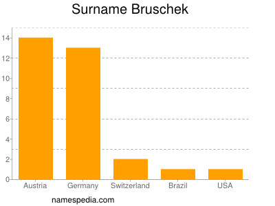 Surname Bruschek