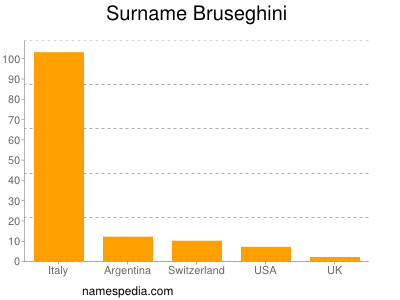 Surname Bruseghini