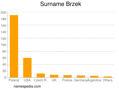 Surname Brzek