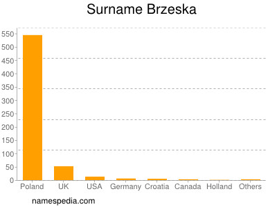 Surname Brzeska