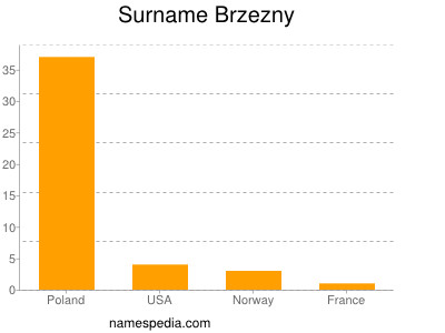 Surname Brzezny