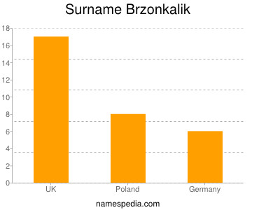 Surname Brzonkalik