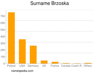 Familiennamen Brzoska