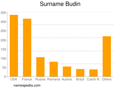 Surname Budin