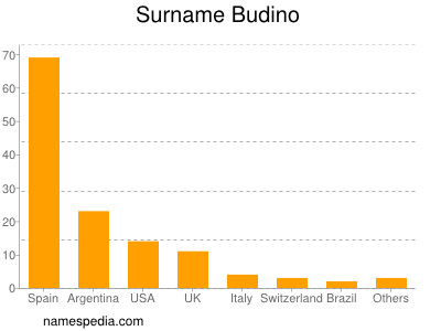 Surname Budino
