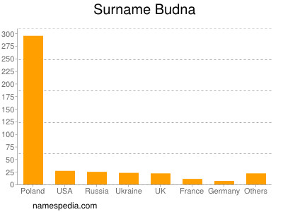 Surname Budna