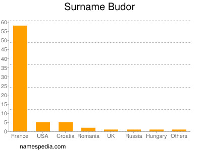 Familiennamen Budor