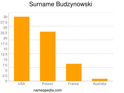 Familiennamen Budzynowski