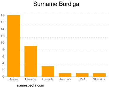 Surname Burdiga
