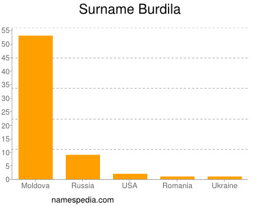 Surname Burdila