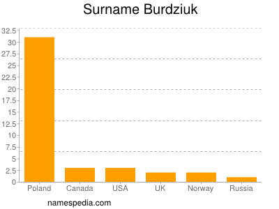 Surname Burdziuk