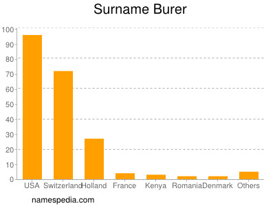 Surname Burer