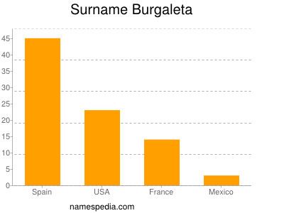 Surname Burgaleta