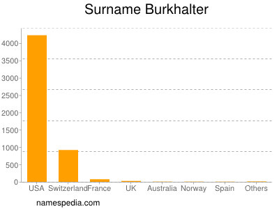 Surname Burkhalter
