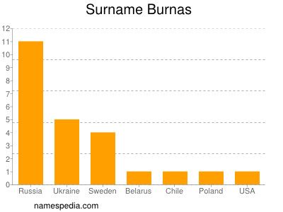 Surname Burnas