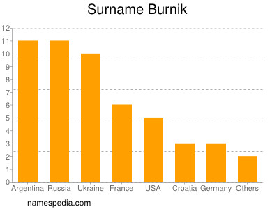 Surname Burnik
