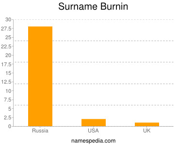 Surname Burnin