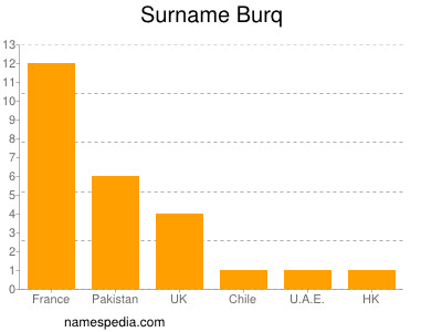Surname Burq