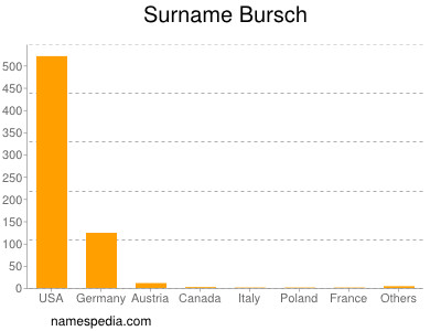 Surname Bursch