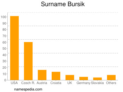 Surname Bursik