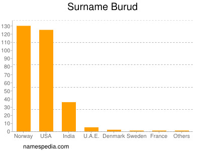 Surname Burud