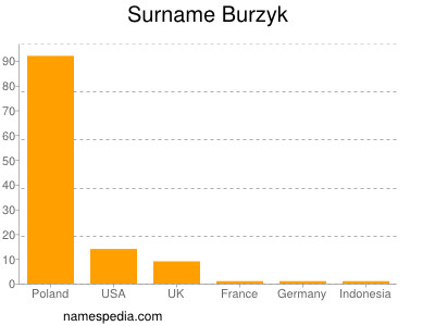 Surname Burzyk