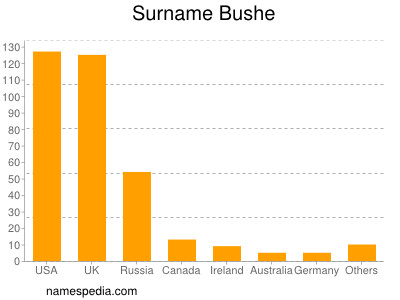 Surname Bushe