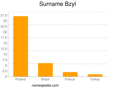 Surname Bzyl